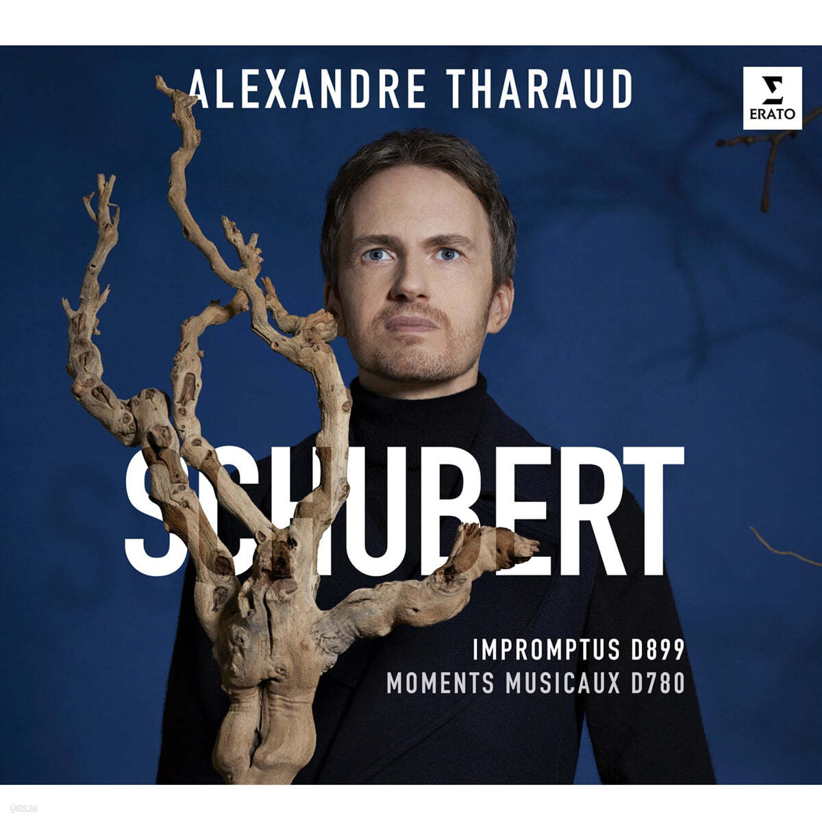 Alexandre Tharaud 슈베르트: 즉흥곡, 악흥의 순간 - 알렉상드르 타로 (Schubert: Impromptus, Moments musicaux) 
