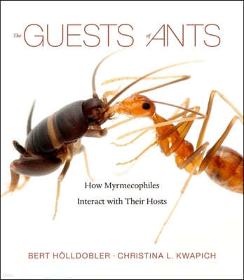 The Guests of Ants: How Myrmecophiles Interact with Their Hosts