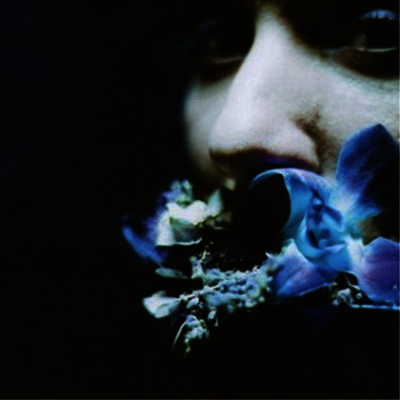 Circuit des Yeux — Reaching For Indigo 앨범 커버