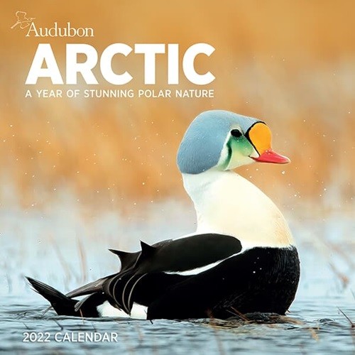 2022 Ķ Audubon Arctic