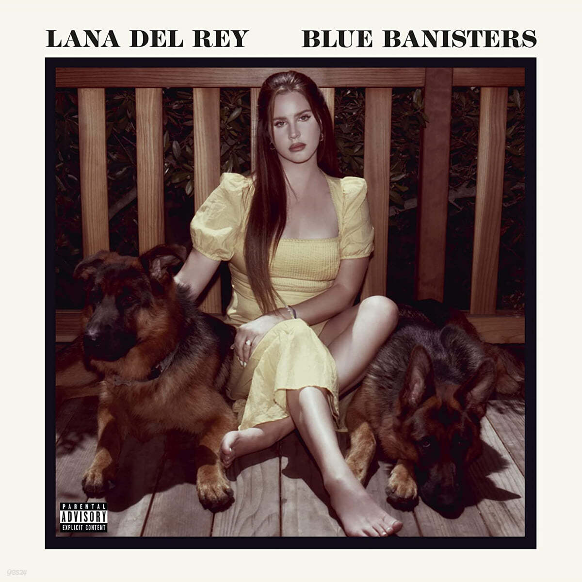 Lana Del Rey (라나 델 레이) - 8집 Blue Banisters [2LP] 