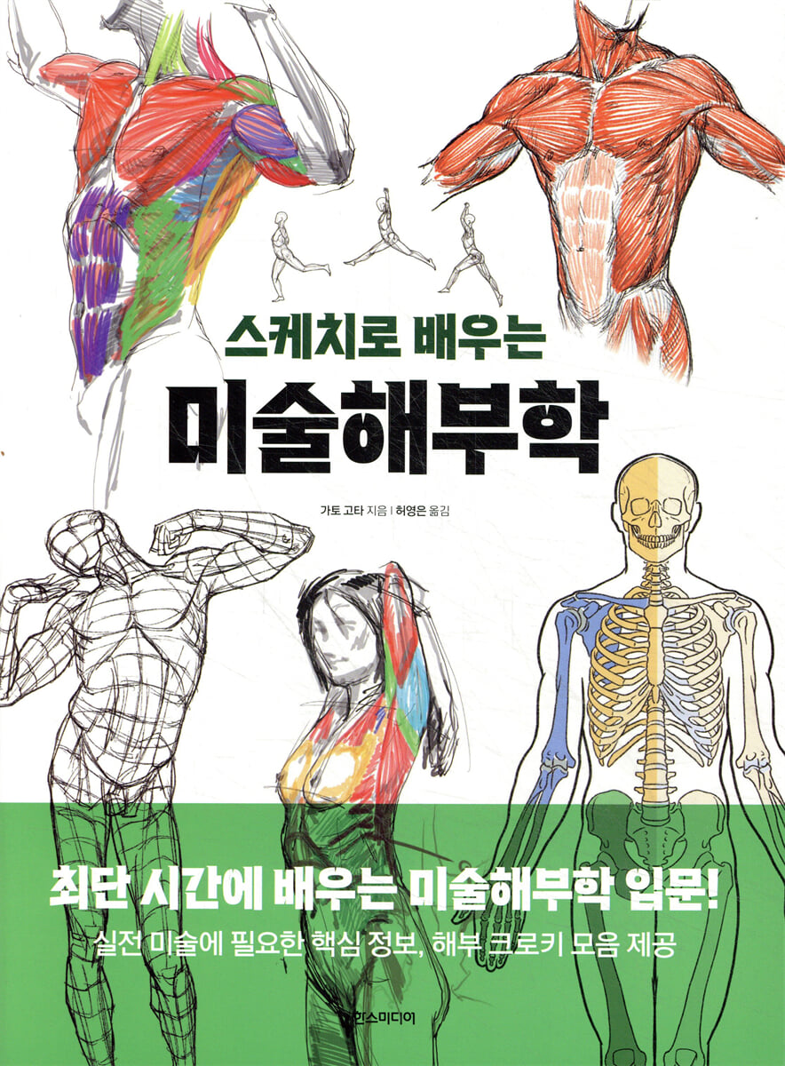 미술해부학