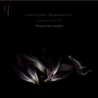 제수알도: 성주간을 위한 레스폰소리아 (Gesualdo: Responses for Holy Week) (2CD)(CD) - Philippe Herreweghe
