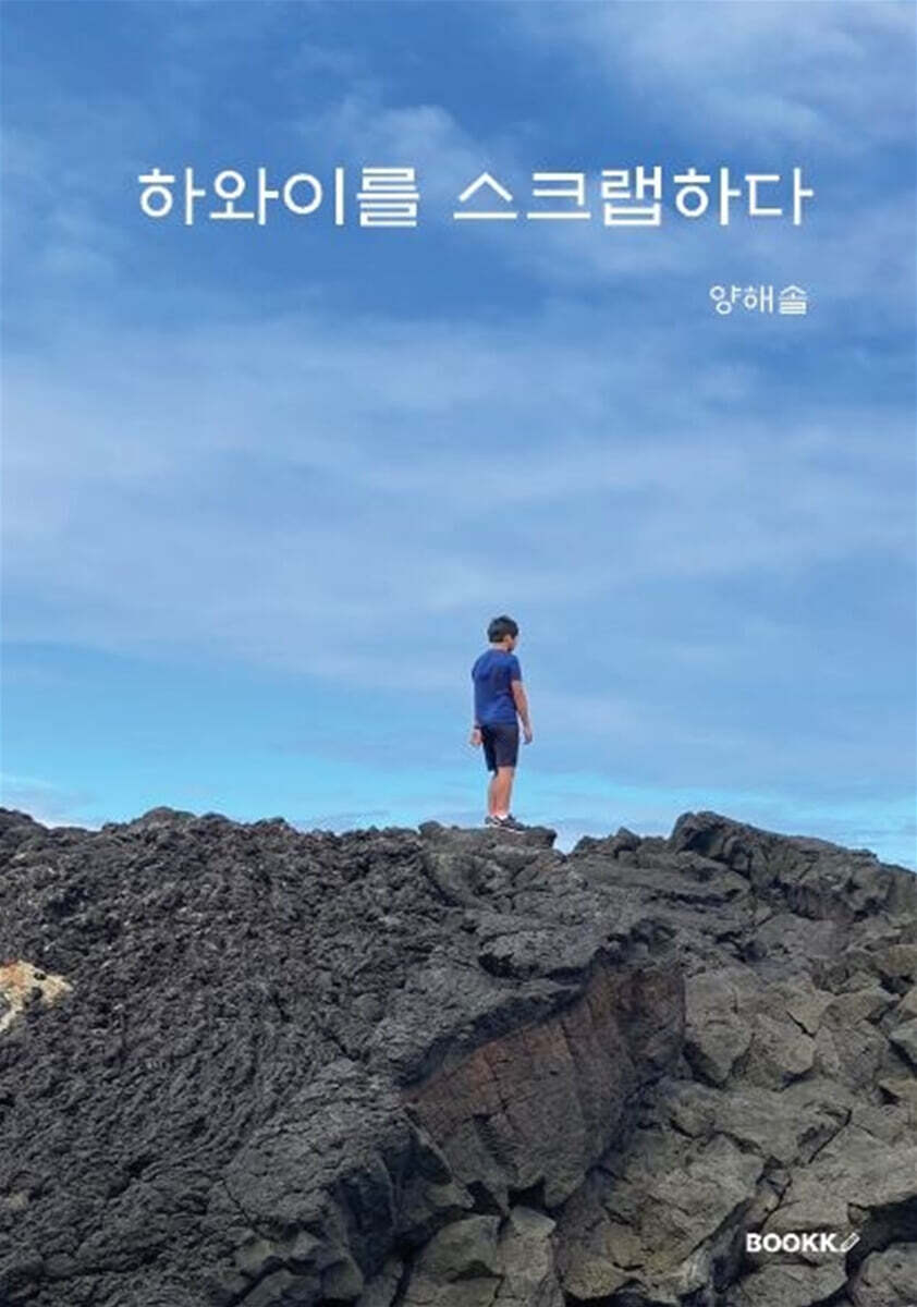 하와이를 스크랩하다