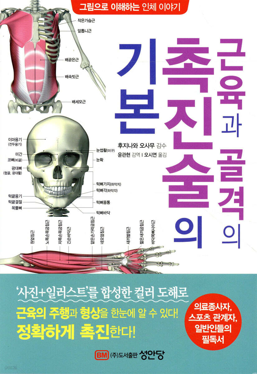근육과 골격의 촉진술의 기본
