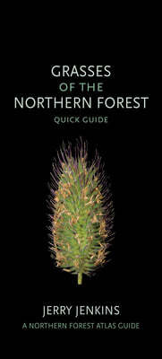 Grasses of the Northern Forest: Quick Guide