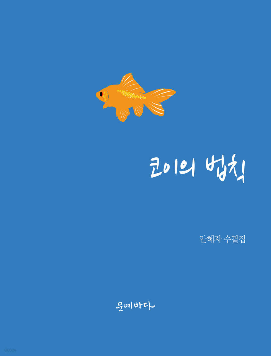 코이의 법칙 - 예스24