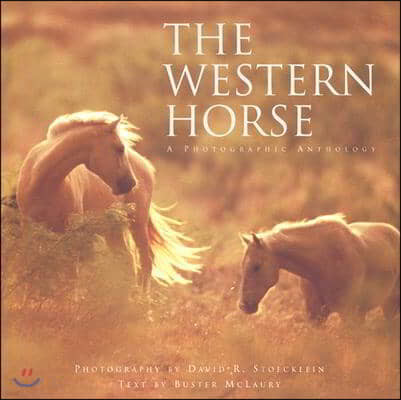 Western Horse: A Photographic Anthology