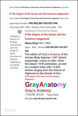 그레이아나토미 해부학의 제10권 감각기관및 외피外皮학 도해 그림책.Gray’s Anatomy . X. The Organs of the Senses and the Common Int