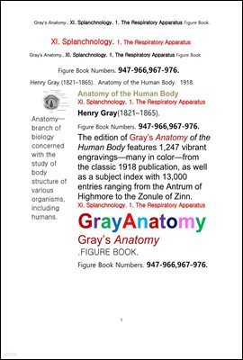 ׷̾Ƴ غ 11 1 ȣ   ׸å.Grays Anatomy.. XI. Splanchnology. 1. The Respiratory Apparatus Figure Book,by Henry Gray
