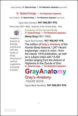 그레이아나토미 해부학의 제11권 1부 호흡기 학 도해 그림책.Gray’s Anatomy.. XI. Splanchnology. 1. The Respiratory Apparatus Figure Book,by Henry Gray