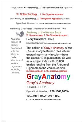 ׷̾Ƴ غ 11 2 ȭ   ׸å.Grays Anatomy. XI. Splanchnology. 2. The Digestive Apparatus Figure Book,by Henry Gray
