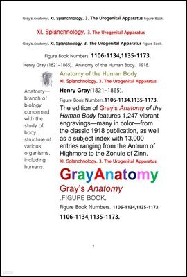 ׷̾Ƴ غ 11 3 񴢻ı   ׸å.Grays Anatomy. XI. Splanchnology. 3. The Urogenital Apparatus Figure Book,by Henry Gray