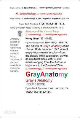 그레이아나토미 해부학의 제11권 3부 비뇨생식기 학 도해 그림책.Gray’s Anatomy. XI. Splanchnology. 3. The Urogenital Apparatus Figure Book,by Henry Gray