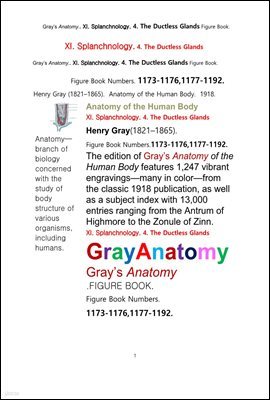 ׷̾Ƴ غ 11 4 к   ׸å.Grays Anatomy. XI. Splanchnology. 4. The Ductless Glandsl Apparatus Figure Book,by Henry Gray