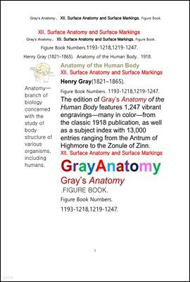׷̾Ƴ غ 12 üǥغа ǥǥ  ׸å.Grays Anatomy. XII. Surface Anatomy and Surface Markings. Figure Book.byHenry Gray