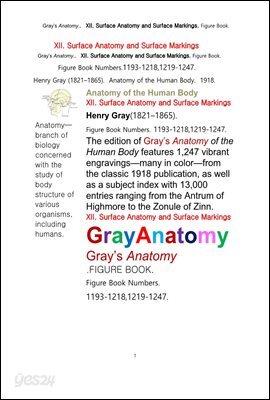 그레이아나토미 해부학의 제12권 신체표면해부학과 표면표시 도해 그림책.Gray’s Anatomy. XII. Surface Anatomy and Surface Markings. Figure Book.byHenry Gray