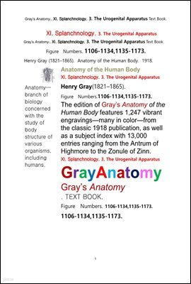 ׷̾Ƴ غ 11 3 񴢻ı  ؽƮå.Grays Anatomy. XI. Splanchnology. 3. The Urogenital Apparatus Text Book,by Henry Gray
