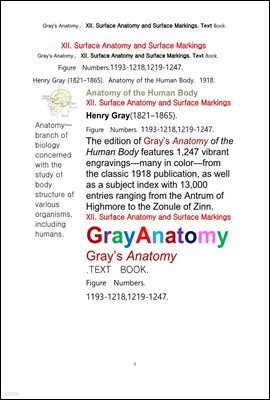 ׷̾Ƴ غ 12 üǥغа ǥǥ ؽƮ å.Grays Anatomy. XII. Surface Anatomy and Surface Markings. Text Book.byHenry Gray