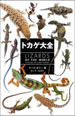 ȫ LIZARDS OF THE WORLD 