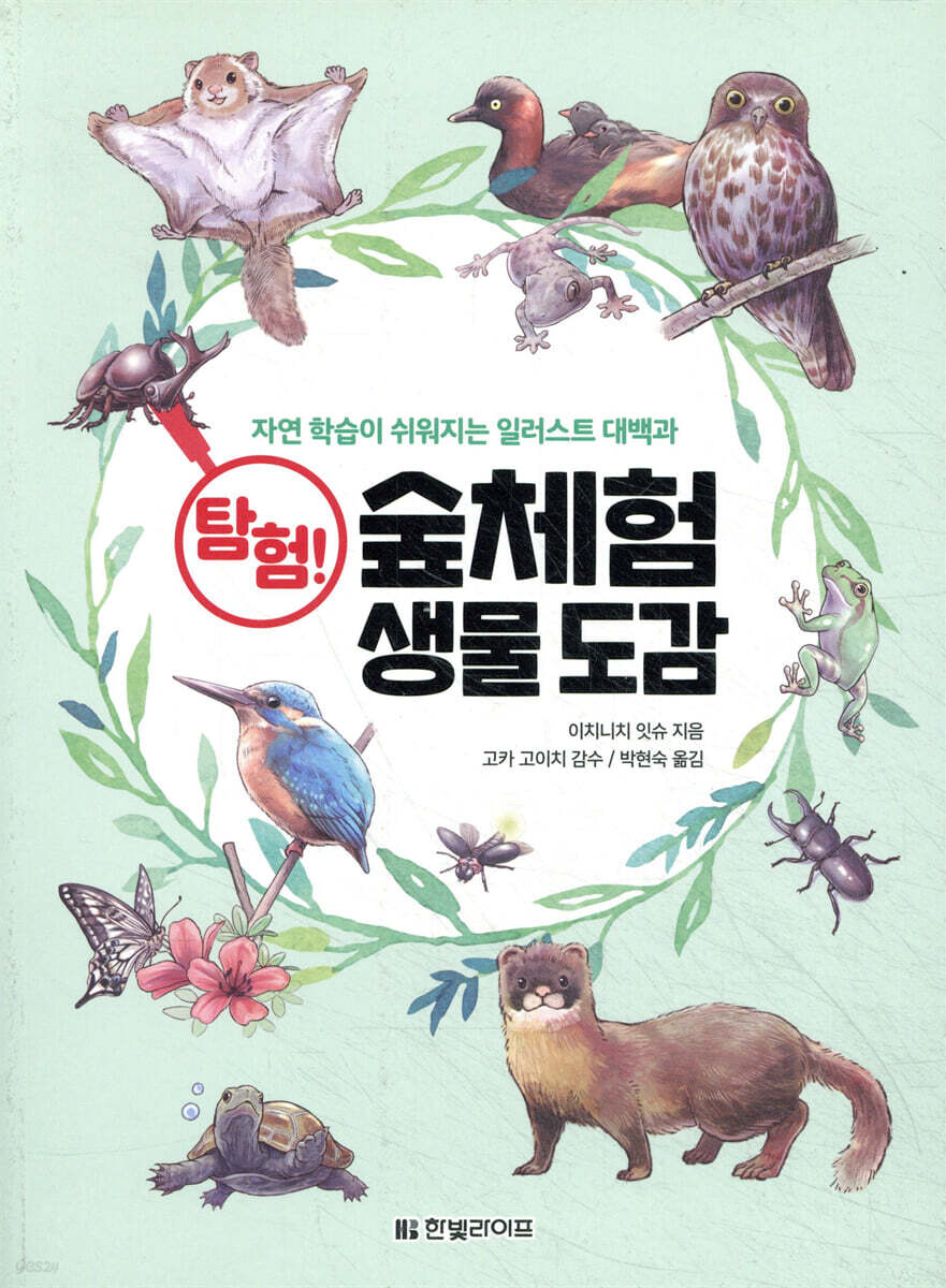 탐험! 숲체험 생물 도감