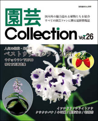 Collection  26