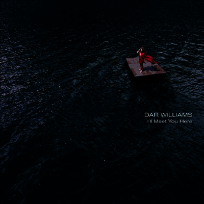 Dar Williams — I'll Meet You Here 앨범 커버
