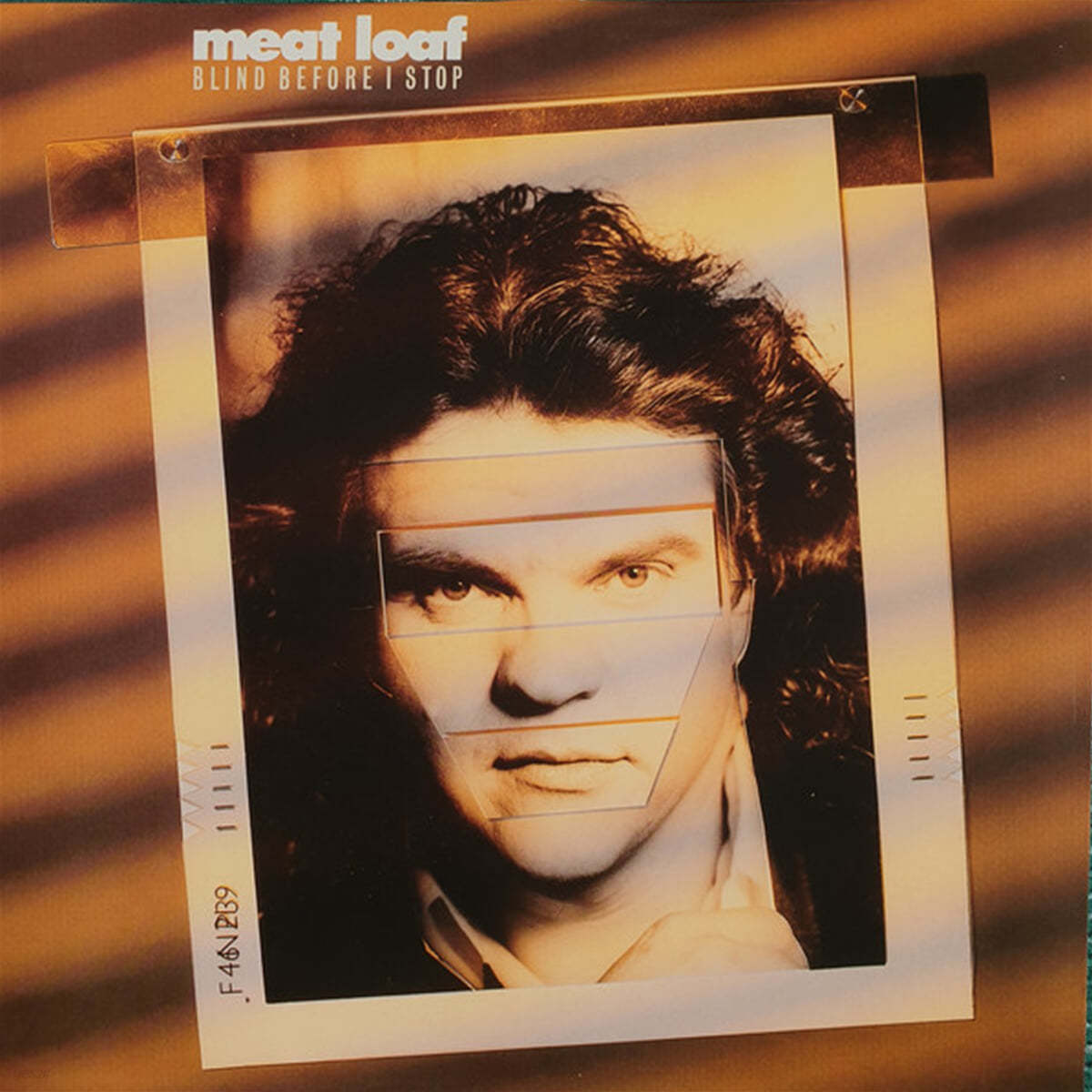 Meat Loaf (미트 로프) - Blind Before I Stop [골드 &amp; 블랙 마블 컬러 LP] 