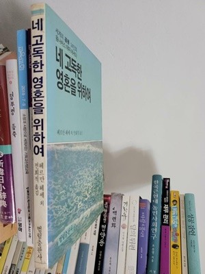 네 고독한 영혼을 위하여/ 세계의 석학 14인의 옴니버스 테마 에세이 