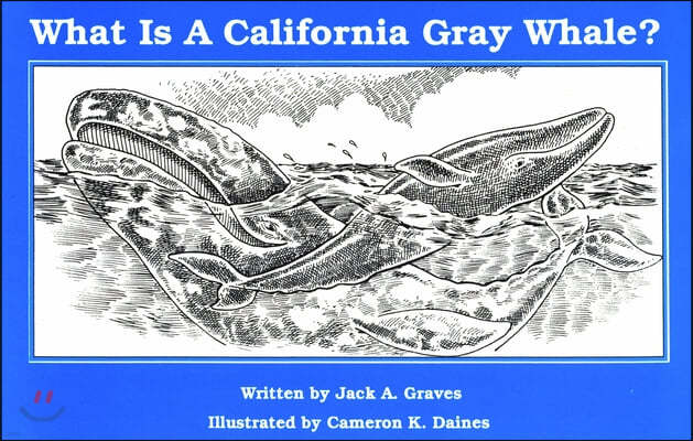 What Is a Gray Whale?