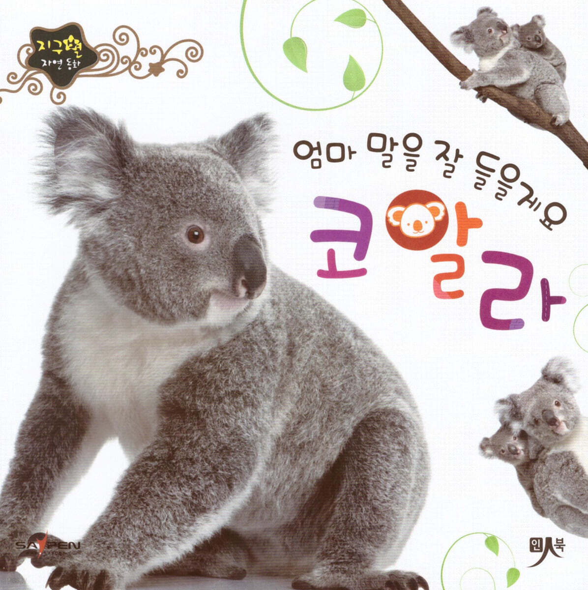 엄마 말을 잘 들을게요 코알라