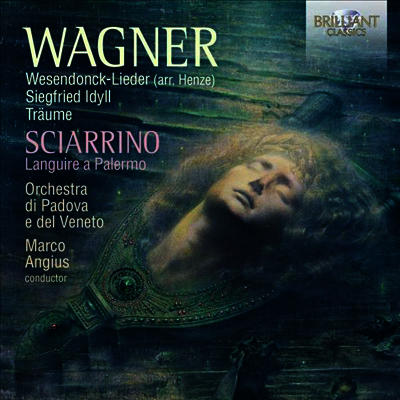 카바초니: 오르간 작품 전곡 (Cavazzoni: Complete Organ Music) (3CD) - Federico del Sordo