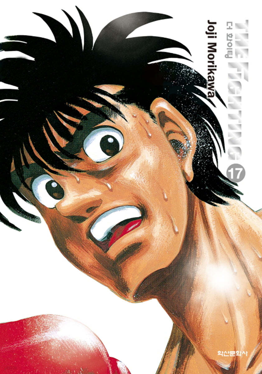더 화이팅 The Fighting 신장재편판 17