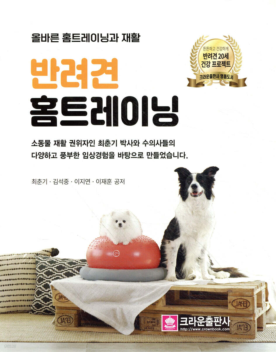 반려견 홈 트레이닝