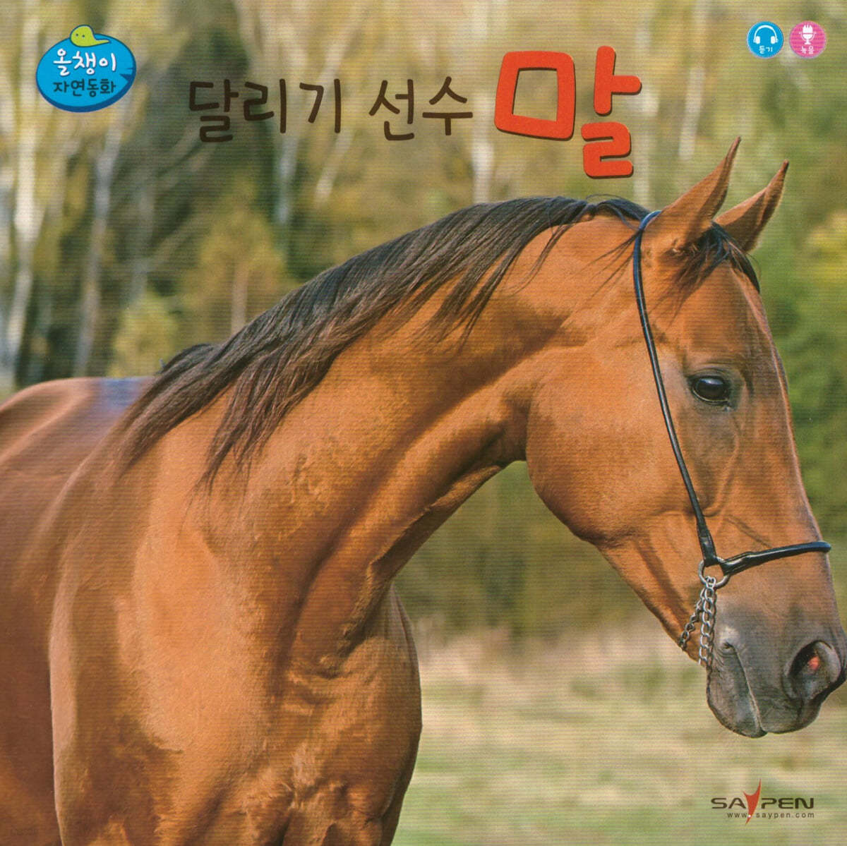 달리기 선수 말