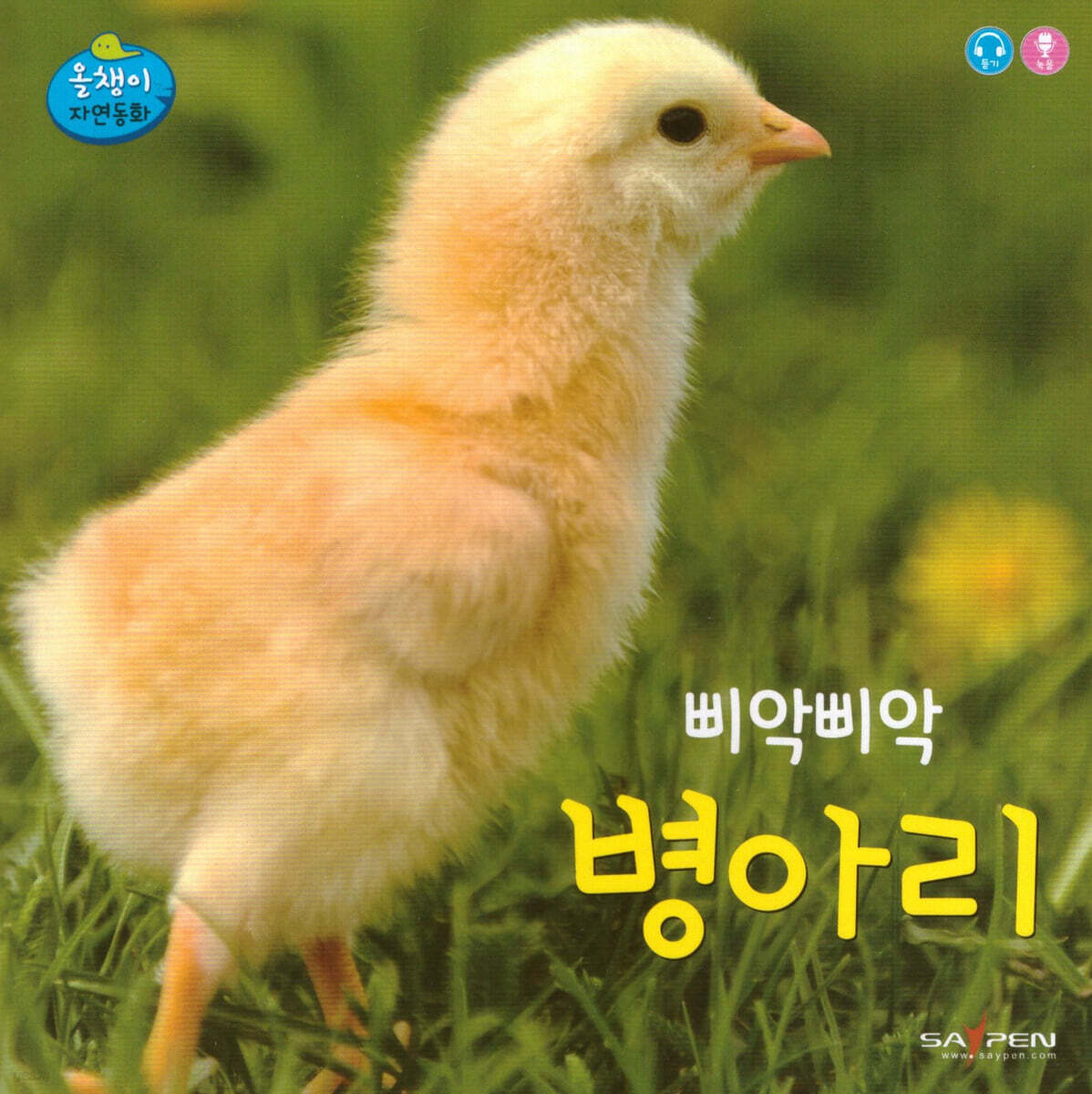 삐악삐악 병아리