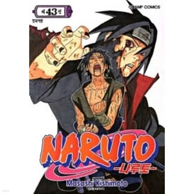 나루토 Naruto 43