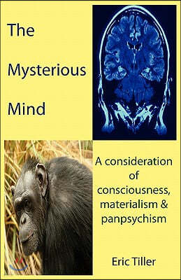 The Mysterious Mind: A consideration of consciousness, materialism & panpsychism