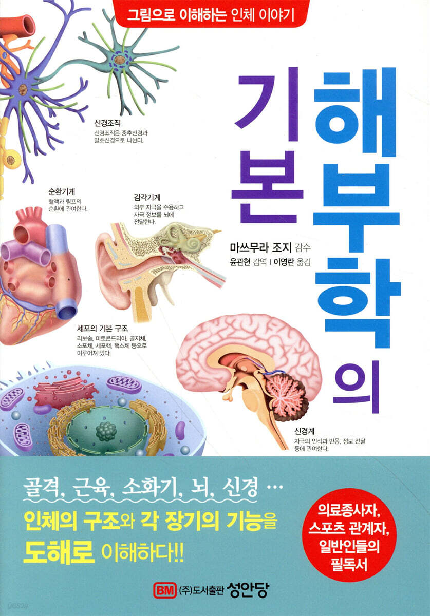 해부학의 기본