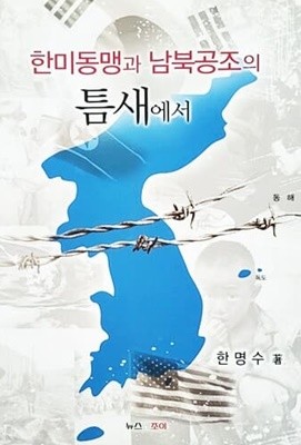 한미동맹과 남북공조의 틈새에서 (2009년)