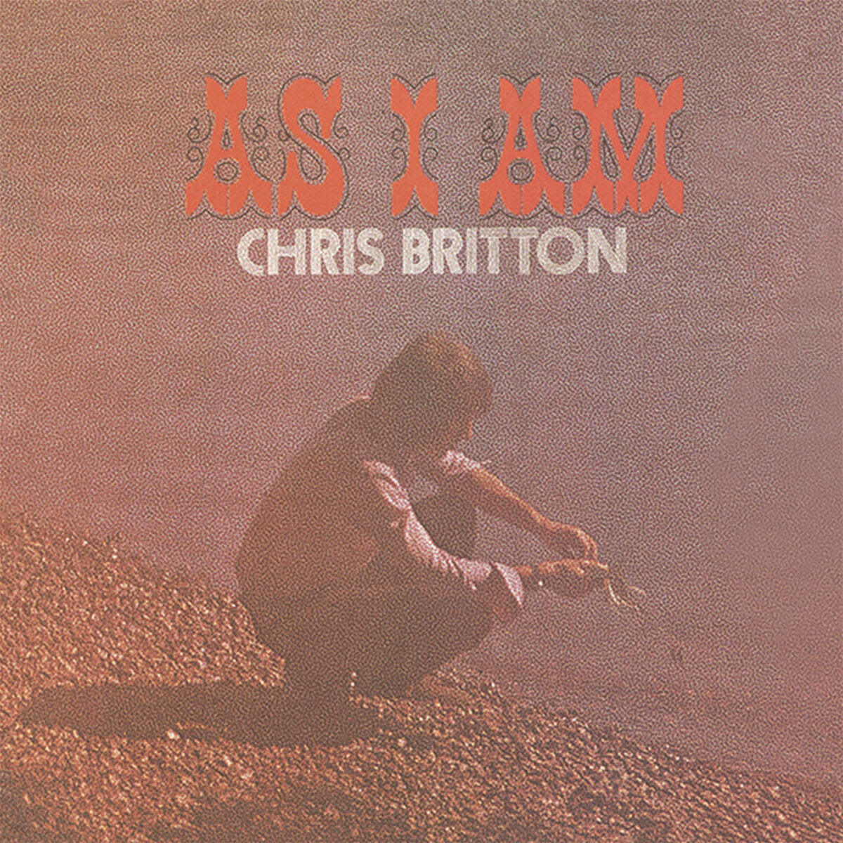 Chris Britton (크리스 브리튼) - As I Am 