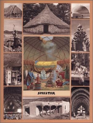 Shelter: 40th Anniversary Edition