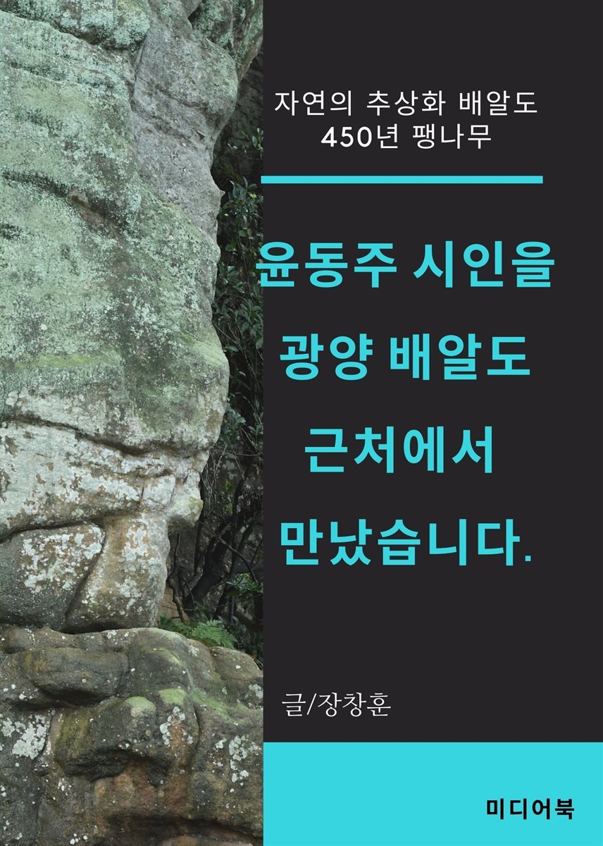 윤동주 시인을 광양 배알도 근처에서 만났습니다 : 자연의 추상화 배알도, 450년 팽나무