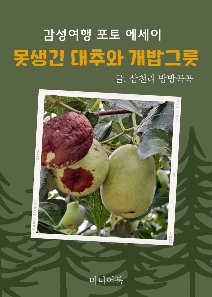 못생긴 대추와 개밥그릇 (감성 여행 포토 에세이)