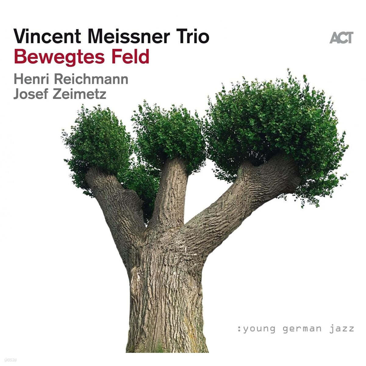 Vincent Meissner Trio (빈첸트 마이스너 트리오) - Bewegtes Feld 