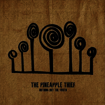Pineapple Thief — Nothing But The Truth (Gatefold) 앨범 커버