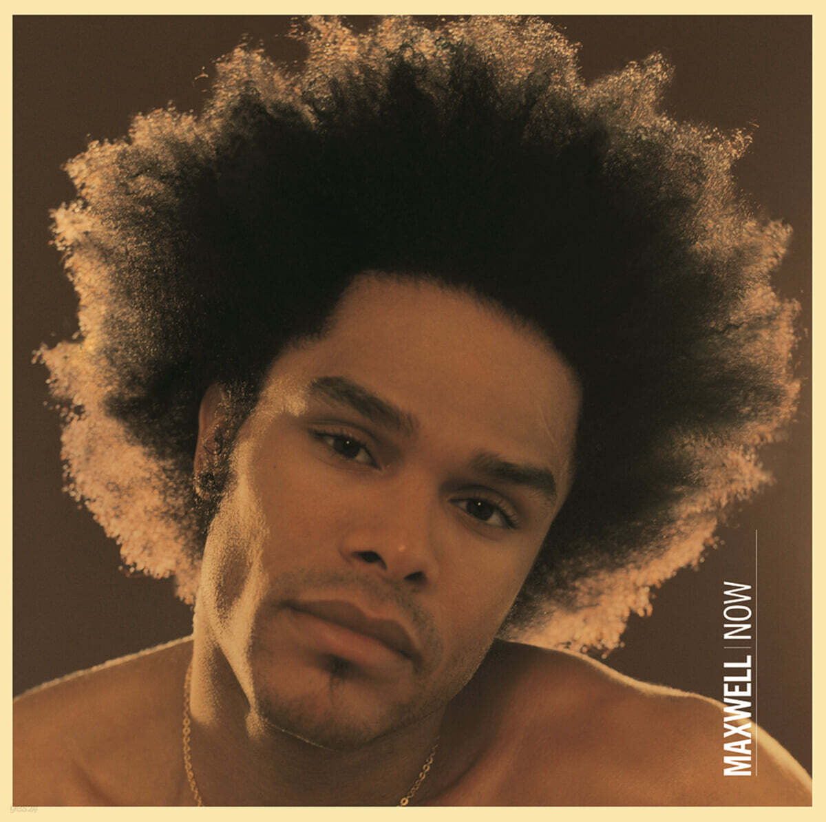Maxwell (맥스웰) - 3집 Now [브라운 컬러 LP]