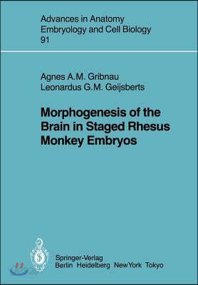 Morphogenesis of the Brain in Staged Rhesus Monkey Embryos