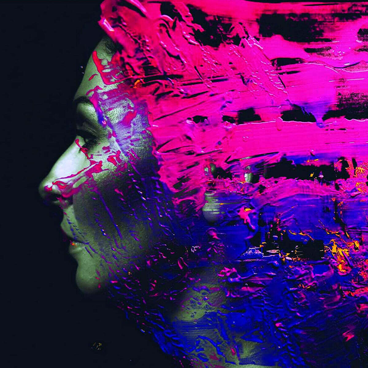 Steven Wilson (스티븐 윌슨) - Hand. Cannot. Erase.