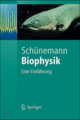 Biophysik: Eine Einfuhrung